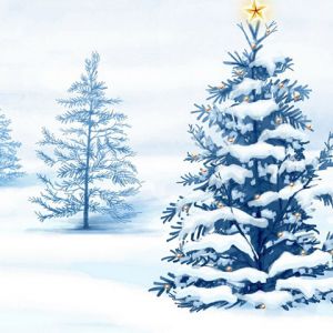 Árvore de Natal no Inverno