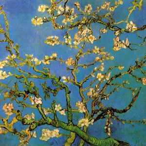 Flor de Amendoeira de Vincent van Gogh
