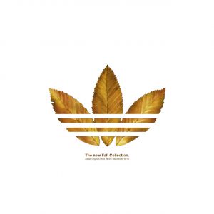 Coleção de Outono Adidas