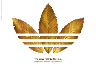 Coleção de Outono Adidas