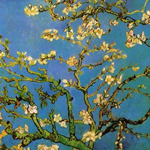 Flor de Amendoeira de Vincent van Gogh