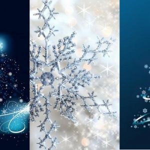 Elegantes Flocos de Neve e Árvore de Natal