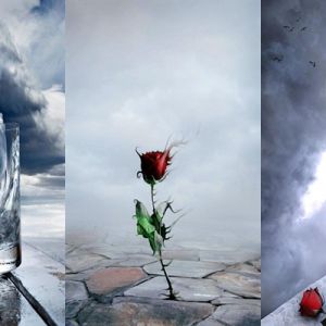 Arte e natureza emocional