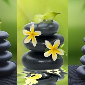 Pedras Zen e Bambu
