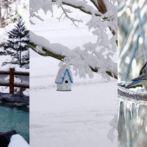 Paisagem de Inverno