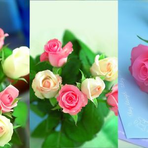 Lindo Buquê de Rosas