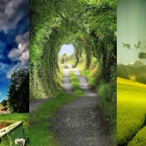 Paisagens Naturais Cênicas