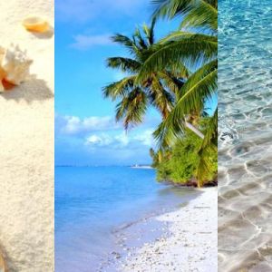 Paraíso de Praia Tropical