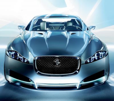 Papel de Parede Jaguar