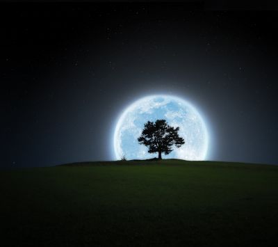 Paisagem com Árvore e Lua