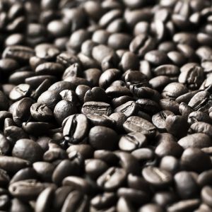 Grãos de Café em Close-Up