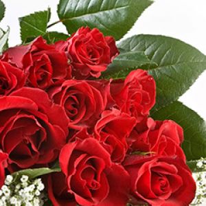 Belo Buquê de Rosas Vermelhas