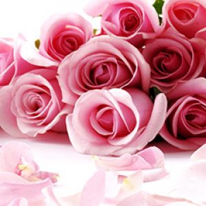 Buquê de Rosas Pink