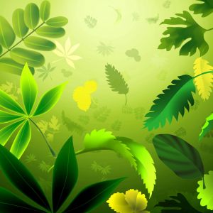 Fundo de Folhas Verdes