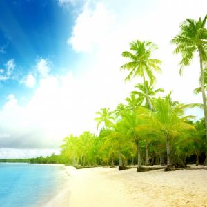 Paraíso da Praia Tropical