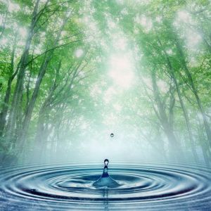 Gota de Água na Floresta