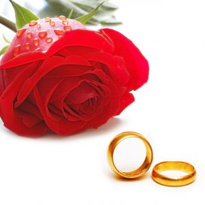 Anéis de Casamento Dourados e Rosa Vermelha