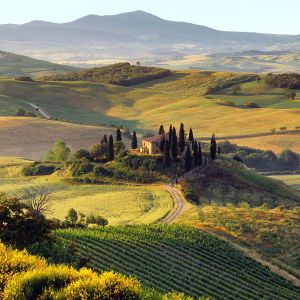 Paisagem Toscana Serena