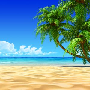Paraíso Tropical