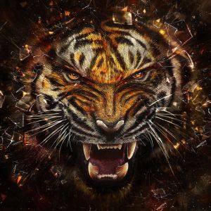 Fierce Tiger Artwork