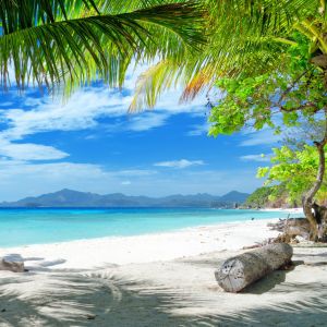 Paraíso da Praia Tropical