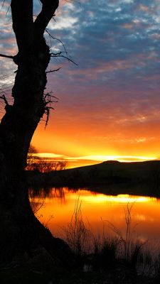 Deslumbrante Reflexo do Pôr do Sol
