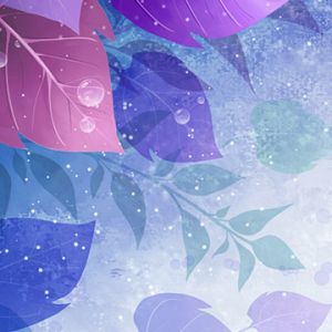 Folhas Coloridas e Gotas de Água