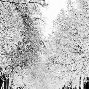 Paisagem de Inverno