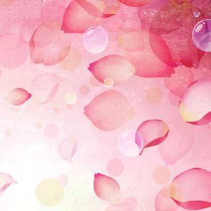 Fundo Abstrato de Pétalas Rosas
