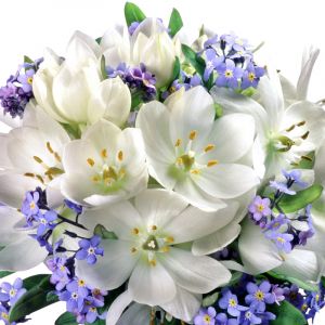 Lindas Flores Brancas e Roxas