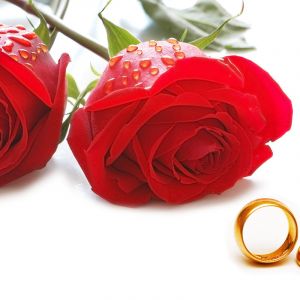 Rosas e Alianças de Casamento