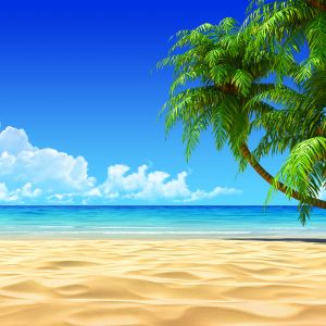Paraíso da Praia Tropical