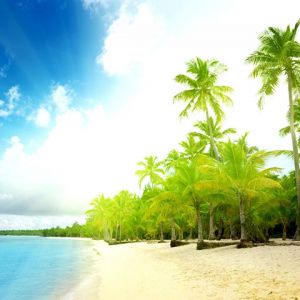 Paraíso de Praia Tropical