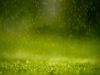 Chuva na Grama Verde