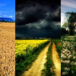 Paisagens Naturais Cênicas