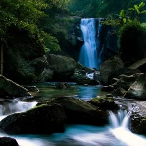 Cascata Serena na Natureza