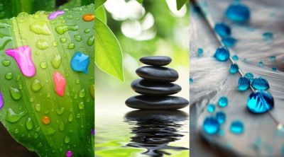 Gotas de água em folhas