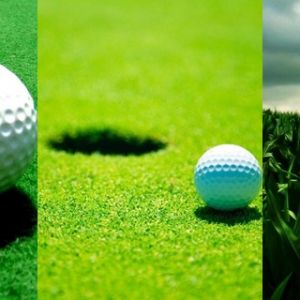 Bola de Golfe na Grama Verde