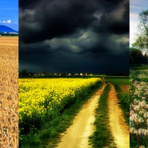 Belas Paisagens Naturais