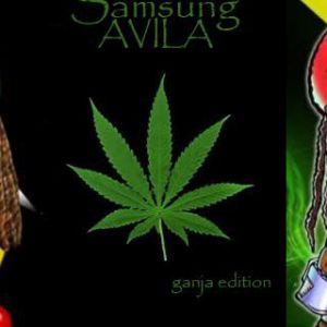 Pinguim Rasta e Arte Ganja