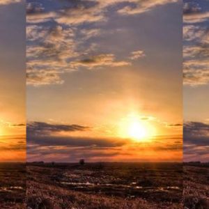 Deslumbrante Pôr do Sol Sobre Campos