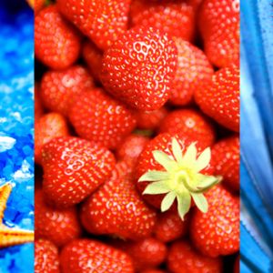 Natureza e Comida Coloridas
