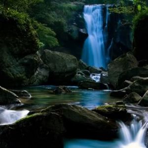 Cascata Serena na Natureza