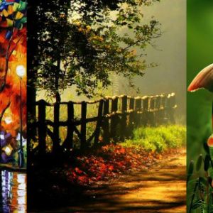 Cenas Naturais Vibrantes