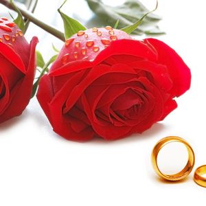 Rosas e Alianças de Casamento