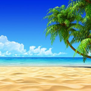 Paraíso de Praia Tropical