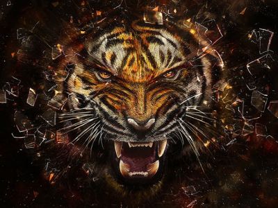 Tigre Feroz - wallpaper preview