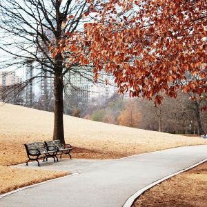 Caminho Sereno no Parque