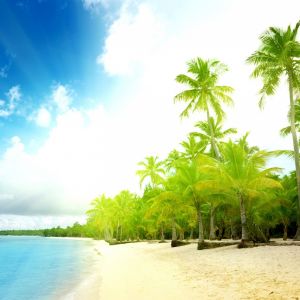 Paraíso da Praia Tropical