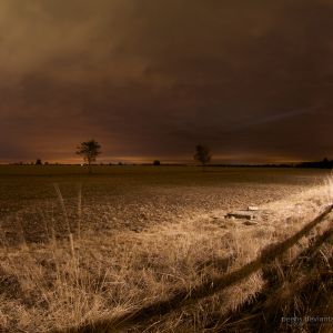 Paisagem Noturna Serena